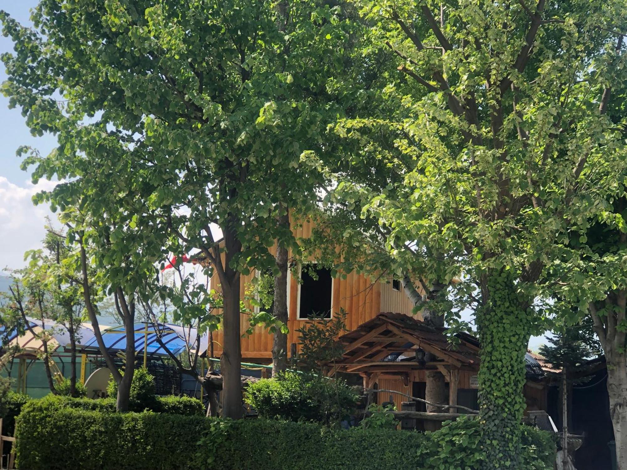 Bujtina Gashi Guest House Kukes Exterior foto