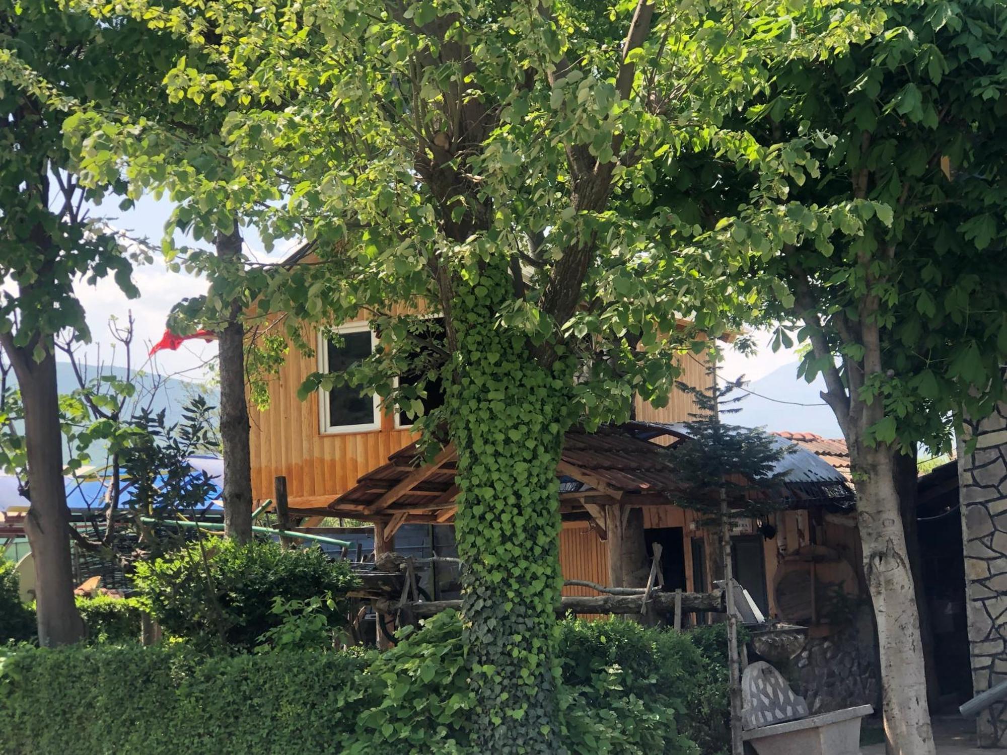 Bujtina Gashi Guest House Kukes Exterior foto